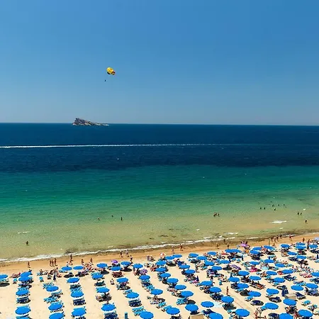 Las Palmeras 10a * Benidorm
