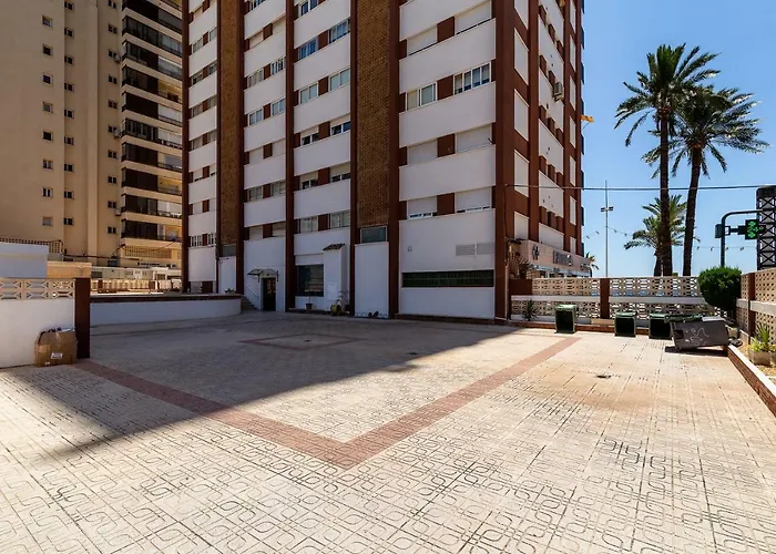 Palmeras 10a * Benidorm