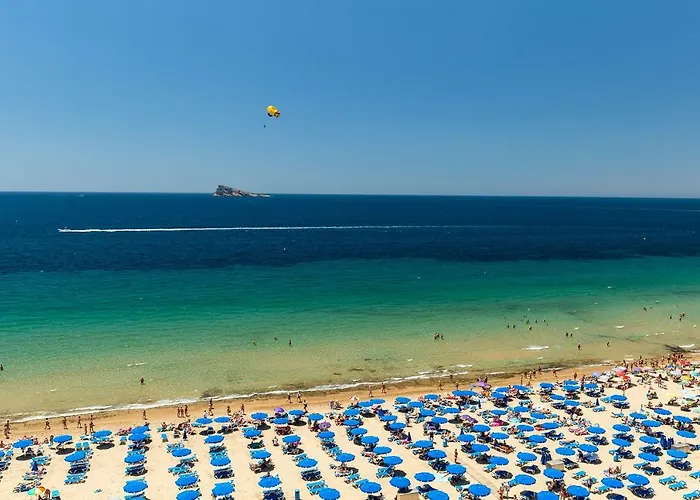 Palmeras 10a * Benidorm